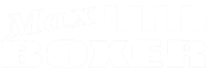max_boxer_sin_fondo_blanco